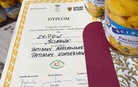 dyplom jasny