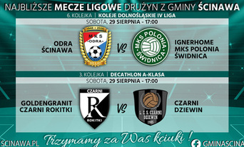 grafika meczowa na zielonkawym tle