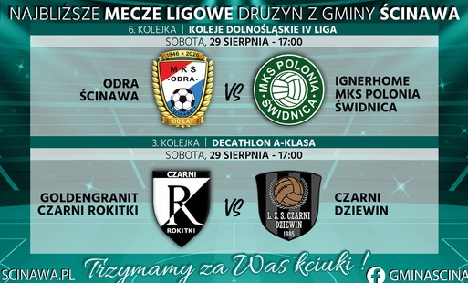 grafika meczowa na zielonkawym tle