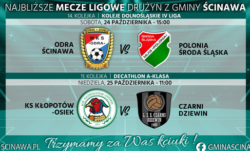 grafika niebieska z herbami klubów piłkarskich