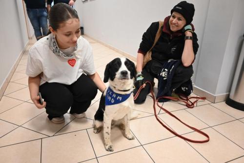 474872109 1086733309918300 4270089769321902095 n